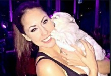 Прикольные картинки ))) # 25.12.2015