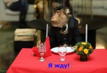 5 блюд, которые идеально подходят для встречи года Обезьяны