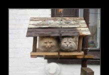 Классная демотивация