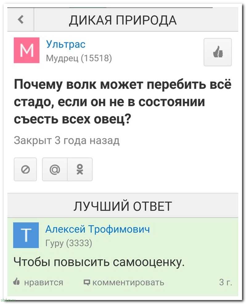 Комментарии из соц. сетей на sibfun.ru от 11 декабря