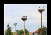 11 демотиваторов дня от 30 декабря