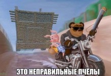 Фото с юмором