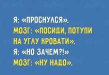 Мои диалоги с мозгом