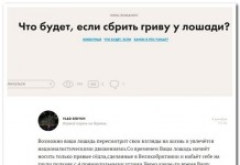 Лучшие комментарии из соц. сетей на sibfun.ru от 17 декабря