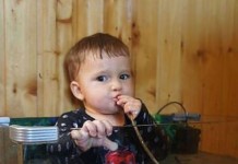 Чем занимаются гиперактивные дети?