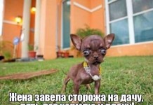 Юмор на злобу дня