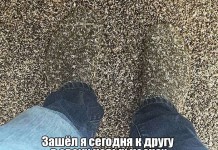 Приколы на злобу дня