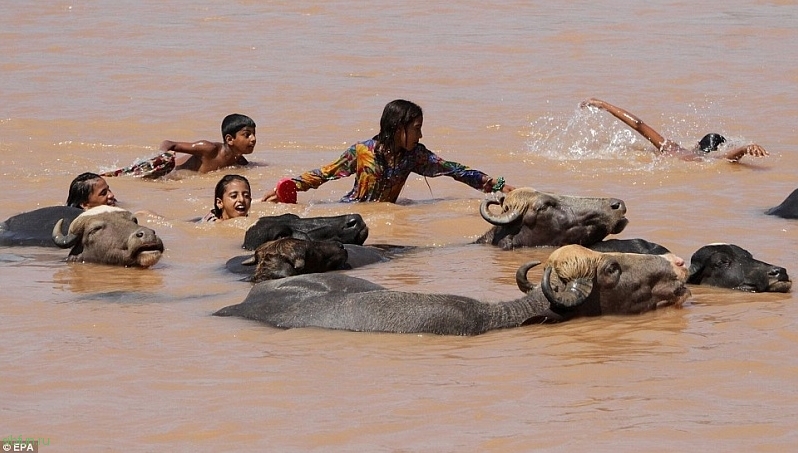 Наводнения в Индии и Пакистане (44 фото)