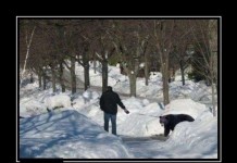 Демотивируемся!