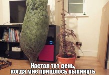 Пятничная подборка прикольных фото