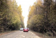 Эх, дороги…