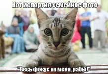Прикольный юмор