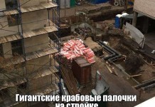 Пятничные фото приколы