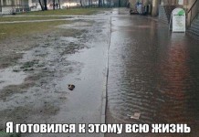 Веселые картинки