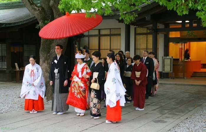 Любопытные факты о японцах