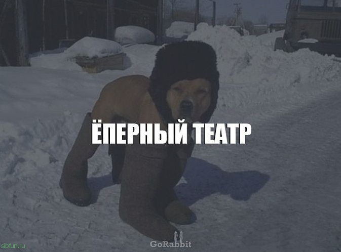 Смешные выражения, которые используют только в России