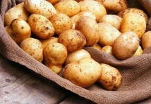 Изобретательность режиссера Джорджа Лукаса во время съемок «Звездных войн»