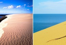 Куршская коса — «море» песка у Балтийского моря