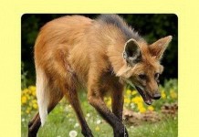 Факты обо всем на свете