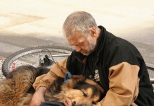 Собака будет любить всегда