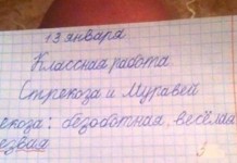 Очередная порция детских перлов из школьных тетрадей