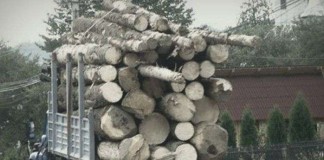 Порция автоюмора