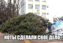 Улыбательные картинки с надписями