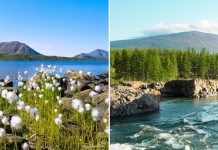 Путоранский государственный природный заповедник