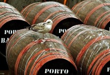 «О вкусах не спорят» или Самые отвратительные блюда мира