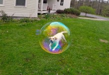 Фотографии, которые поднимут настроение