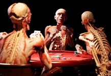 Необычные музеи Германии: Пластинариум или Музей мумий