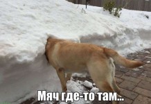 Прикольная фотоподборка