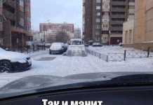 Прикольная фотоподборка
