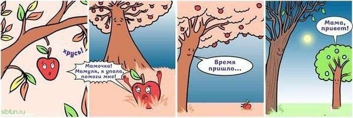 Смешные комиксы