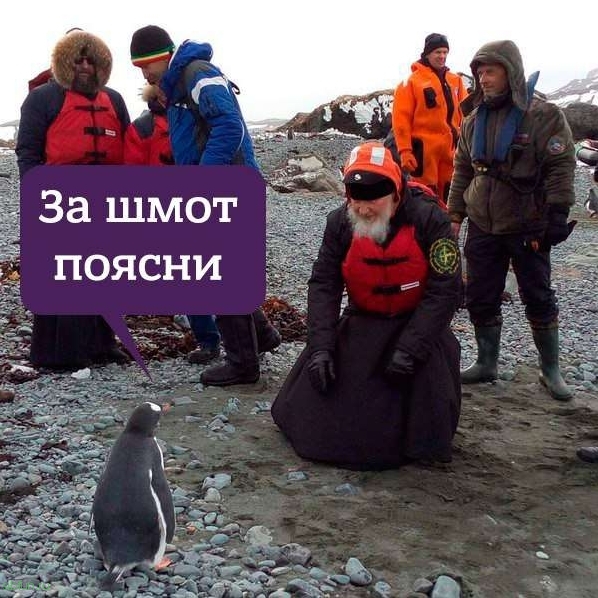 Фотожабы на патриарха Кирилла и пингвинов
