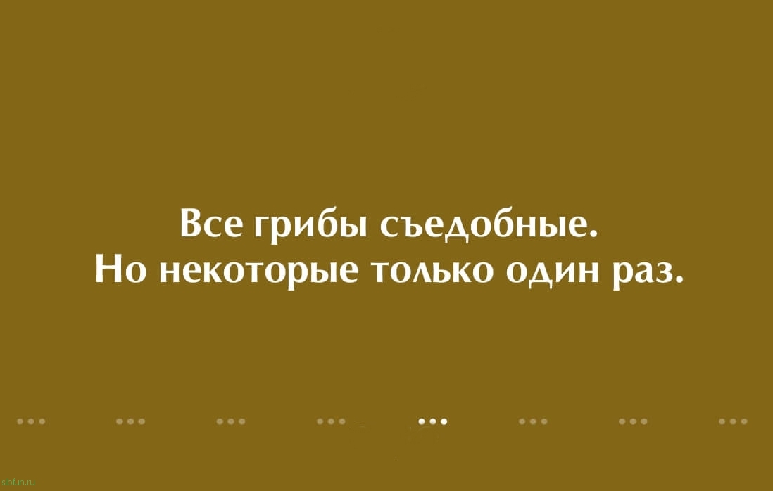 15 убойных анекдотов на sibfun.ru