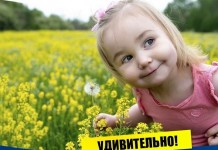 Удивительные факты о детях