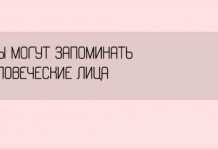 Занимательные факты о разных аспектах жизни