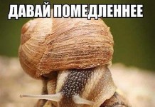 Свежая подборка фотомемов, которая вас повеселит от души