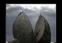 Заряд позитива в демотиваторах