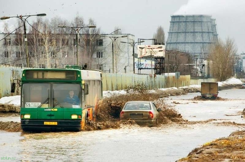 Подборка автоприколов