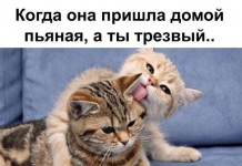 Картинки со смешными надписями