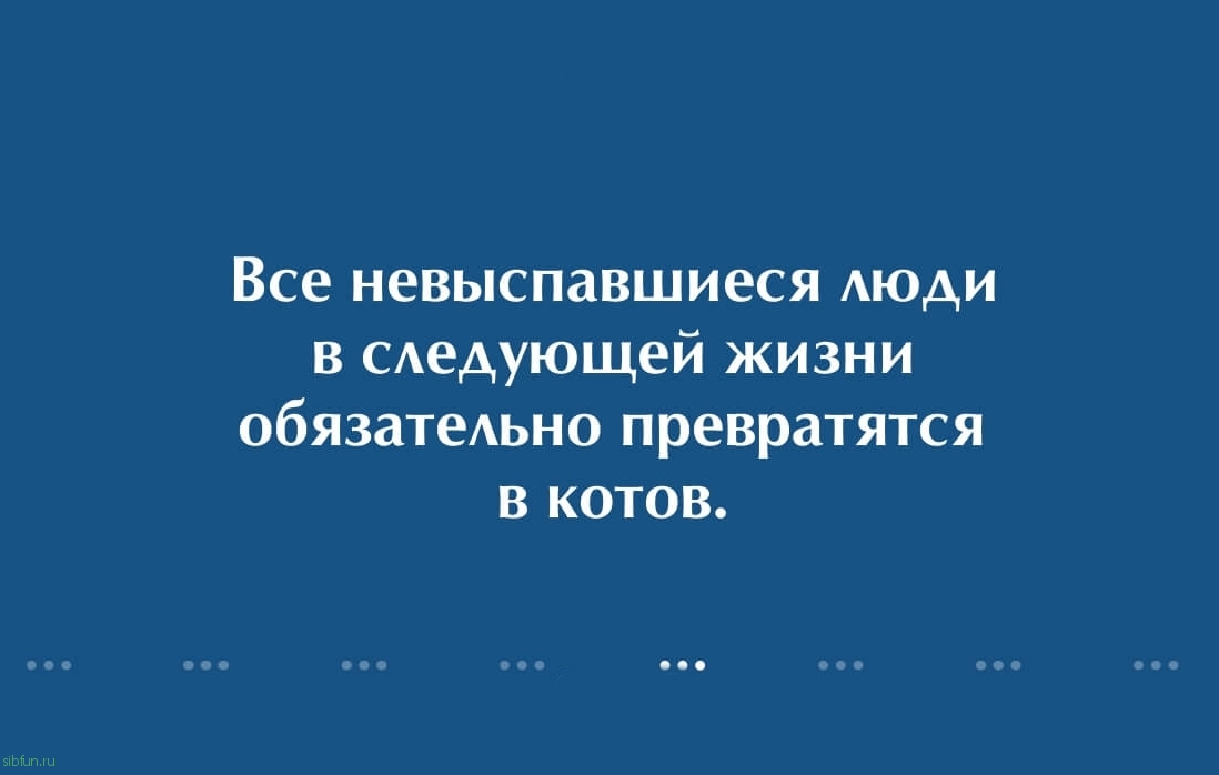 15 убойных анекдотов на sibfun.ru