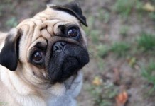 Любопытные факты о столице России