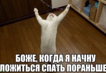 Смешные картинки с надписями