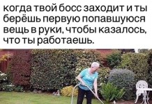 Забавные фотографии
