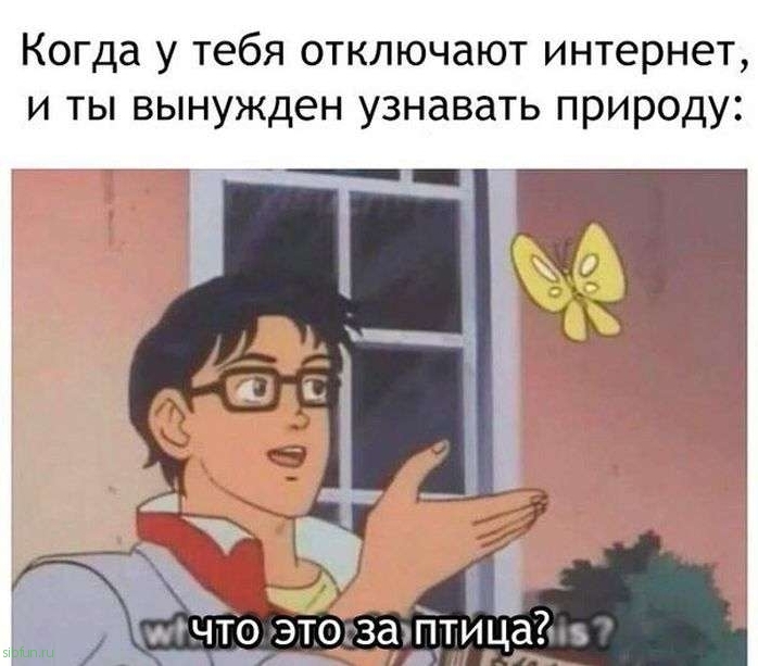 Забавные картинки