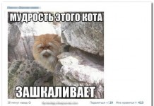 14 комментариев из соцсетей от 28 февраля