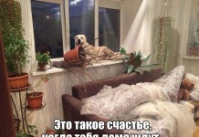 Юморные фотографии