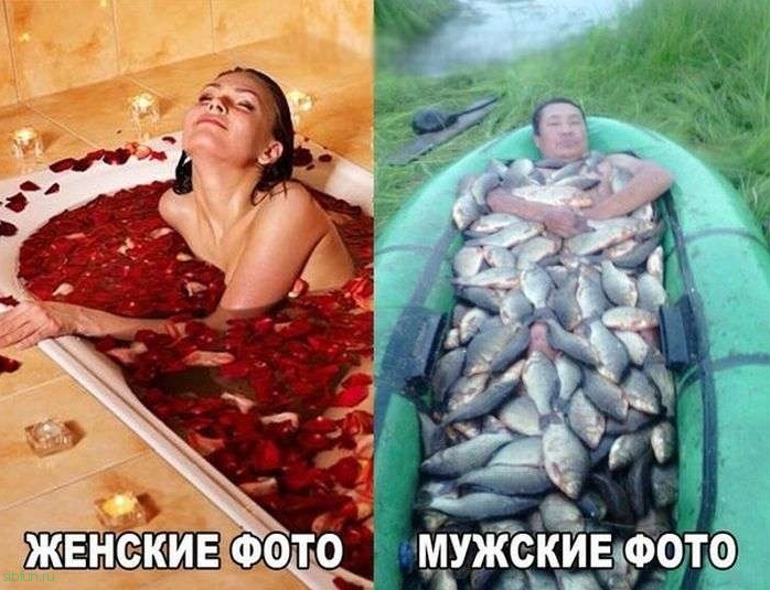 Отличный юмор в фотографиях